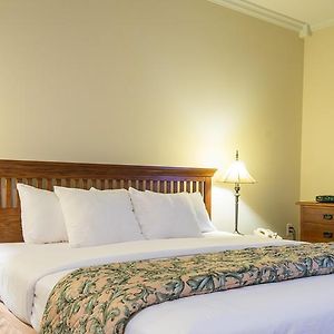 King Room Disability Access