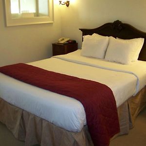Queen Suite